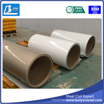 Hot Sale Prepainted Galvanized Steel Sheet in Coil From Shandong